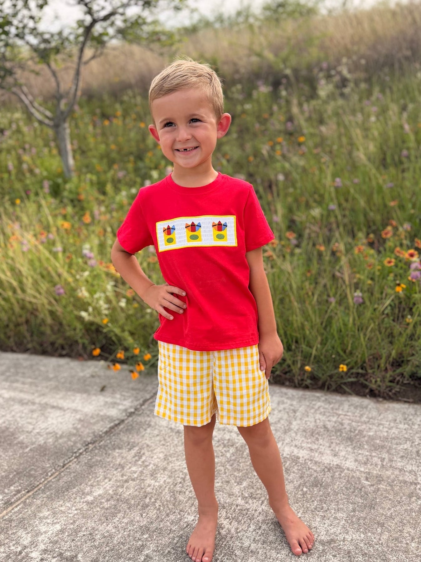 Back to School Crayon Smocked Boys Plaid Shorts Set