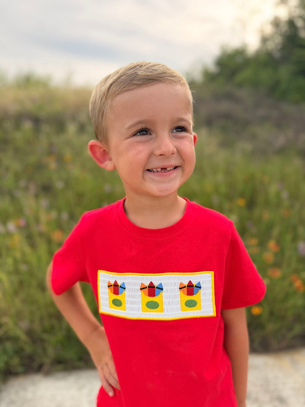 Back to School Crayon Smocked Boys Plaid Shorts Set