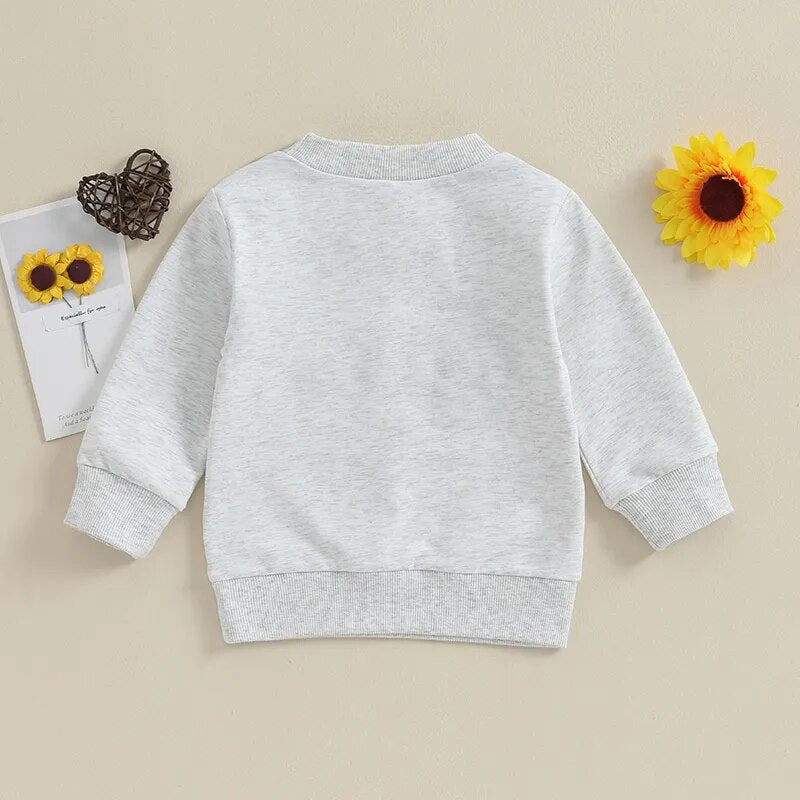 Cozy Long-Sleeve Pullover for Toddler Boys - "Lil Bro" Edition