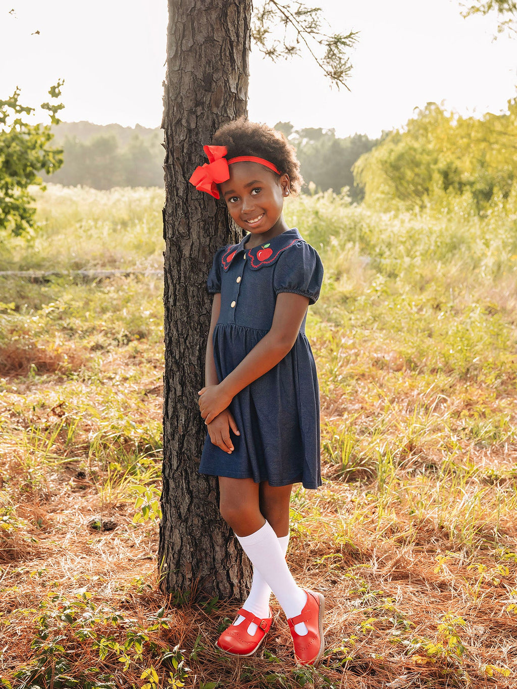 Back to School Apple Applique Girls Dress Petals Collar