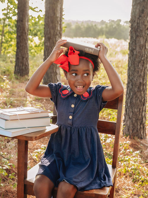 Back to School Apple Applique Girls Dress Petals Collar